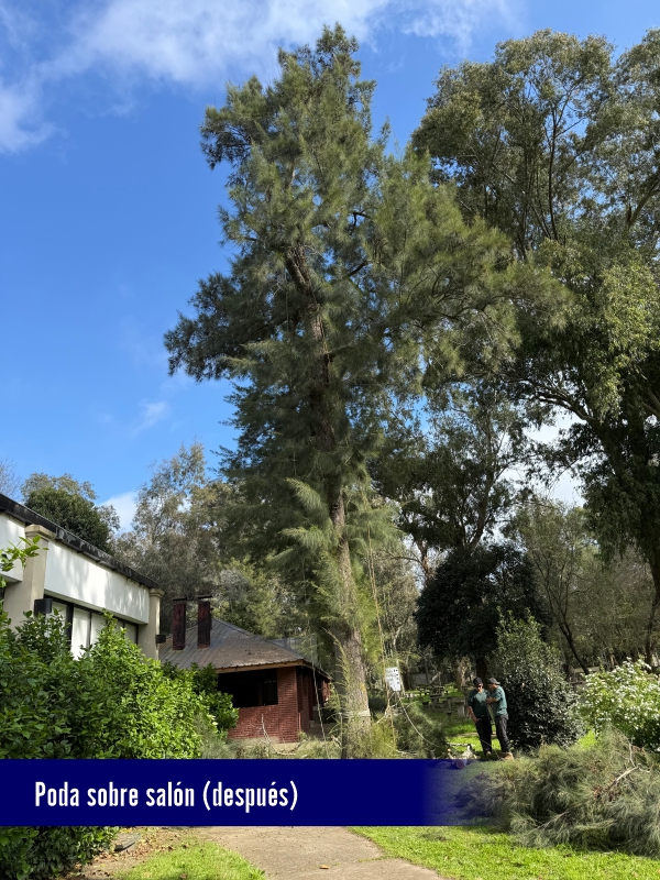 villa elisa 4